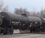 CBTX 730175